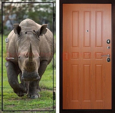 Металлическая дверь с фотопечатью носорога ДФ-31 в Тихвине